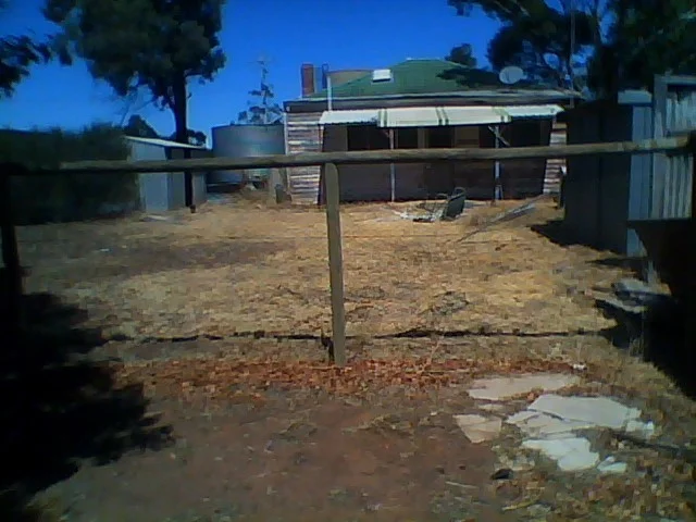 Image 7