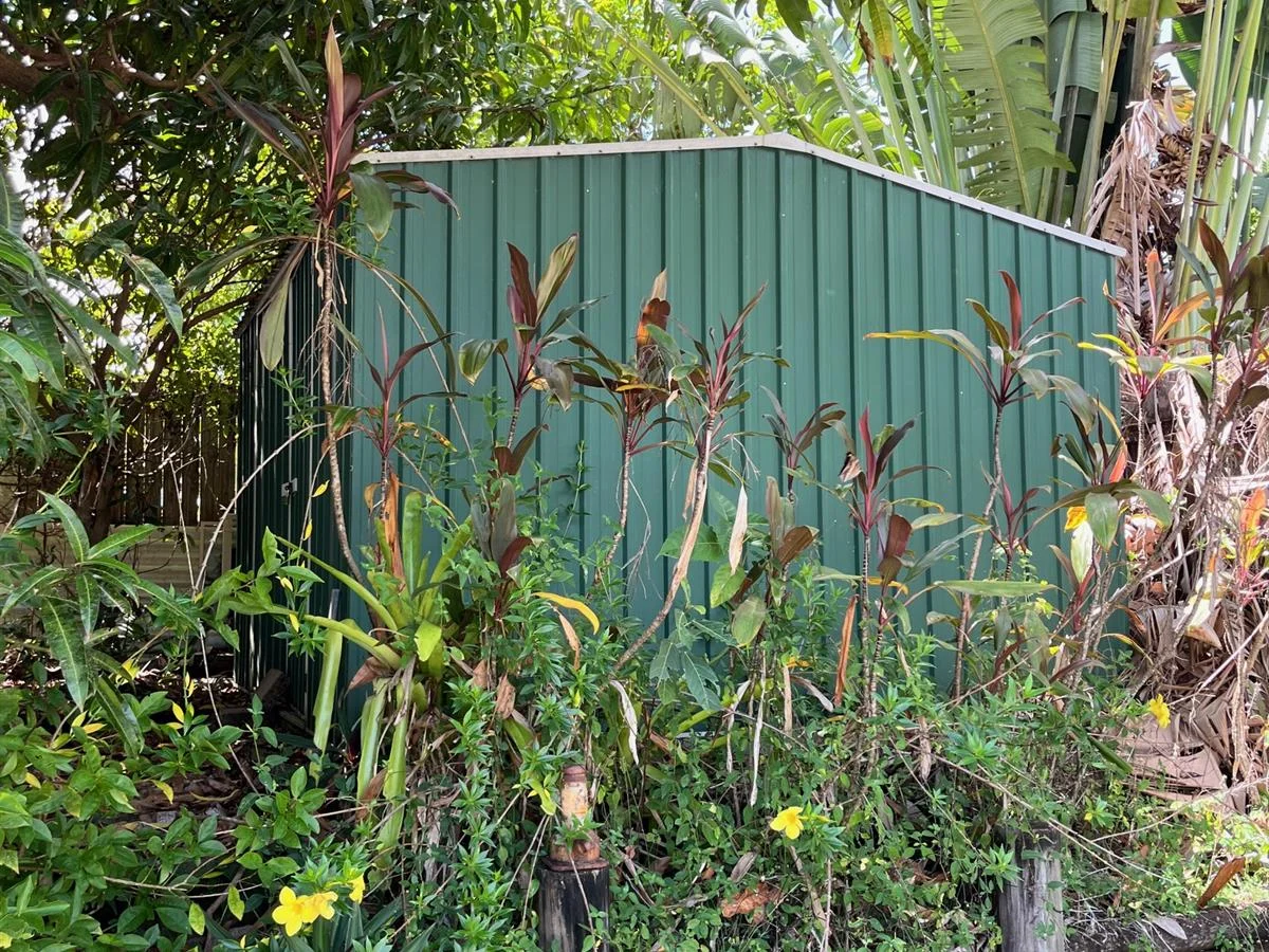 Image 11