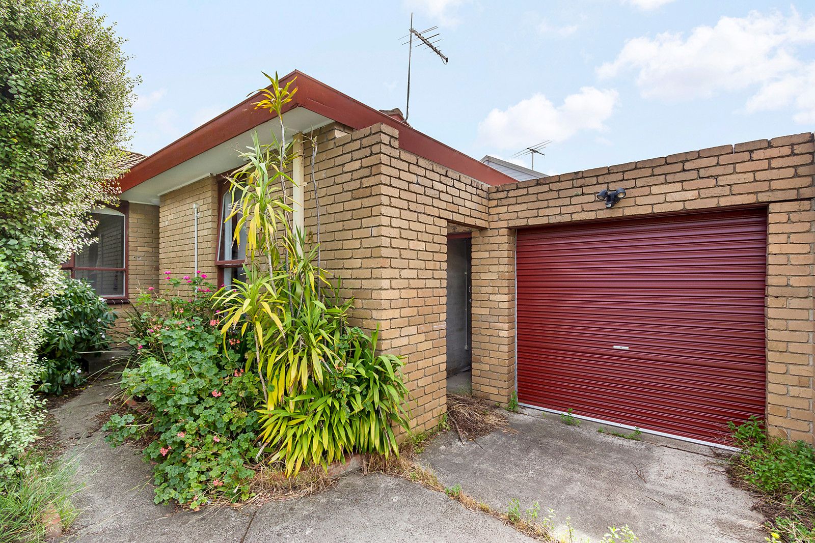 8/38 Grevillia Road, Oak Park VIC 3046, Image 0