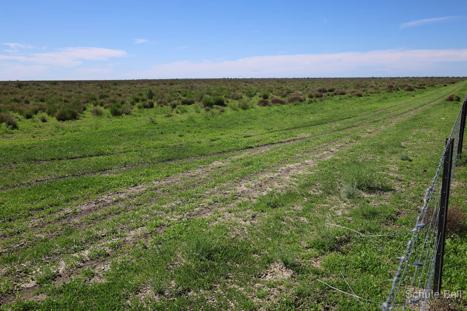 Additional image 9 of Narran Lake Road, Brewarrina NSW 2839