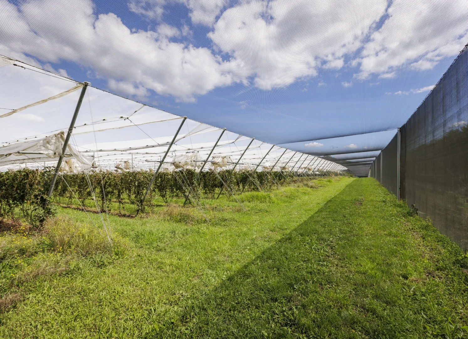 Additional image 25 of 1363 Whittlesea Yea Road, Kinglake West VIC 3757