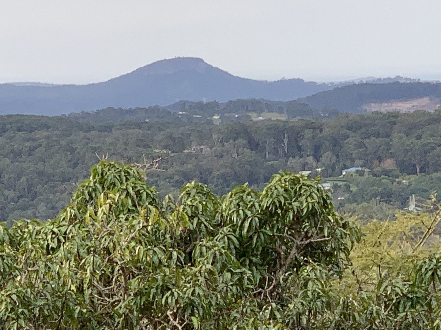 Mapleton QLD 4560 Land for Sale Domain