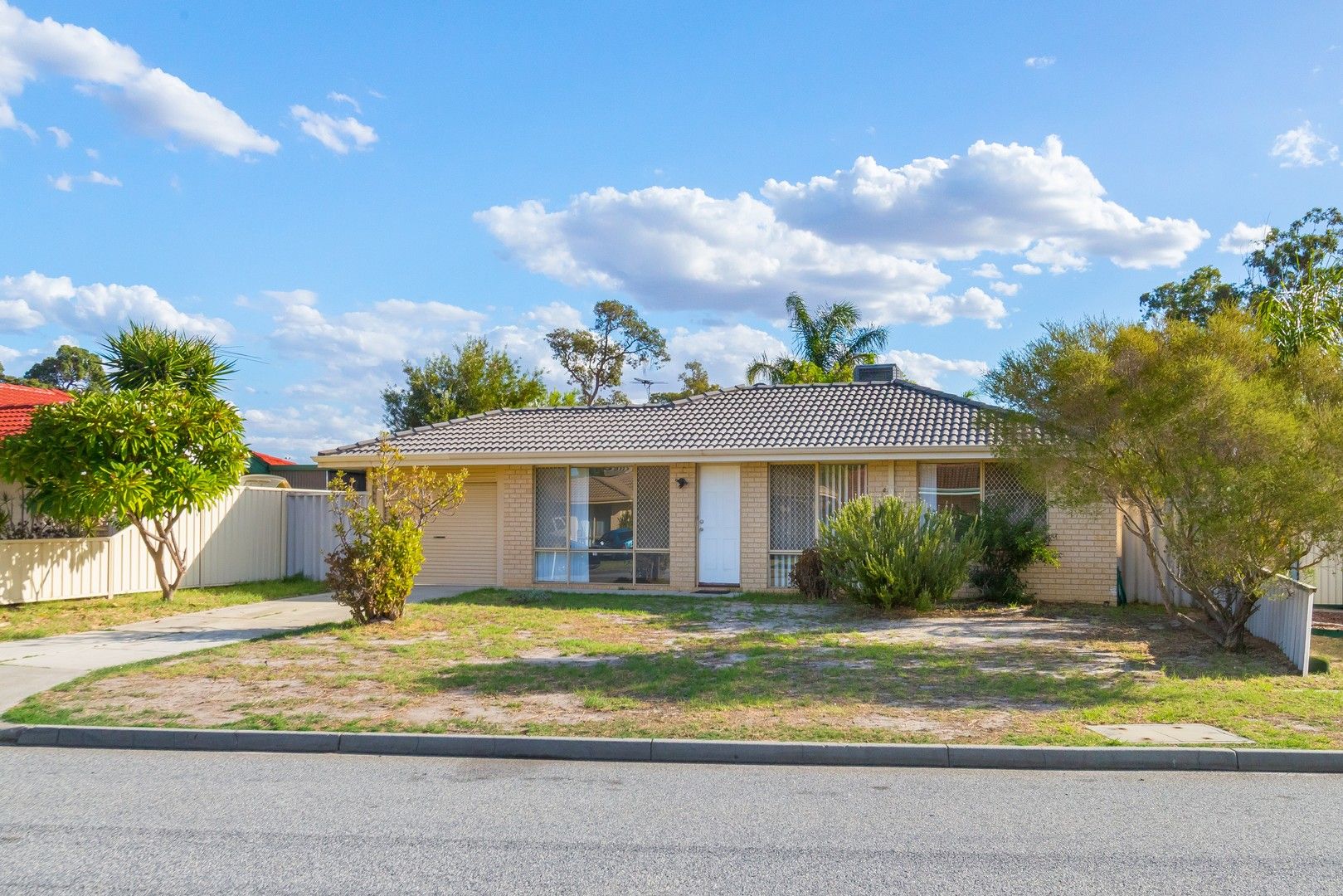 19 Haynes Court, Armadale WA 6112, Image 0