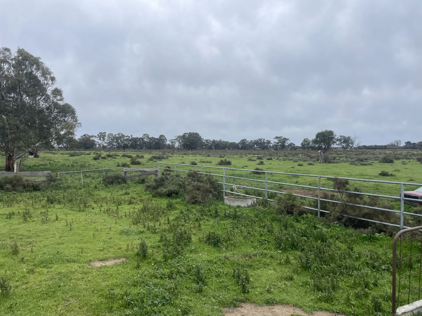 Image 20