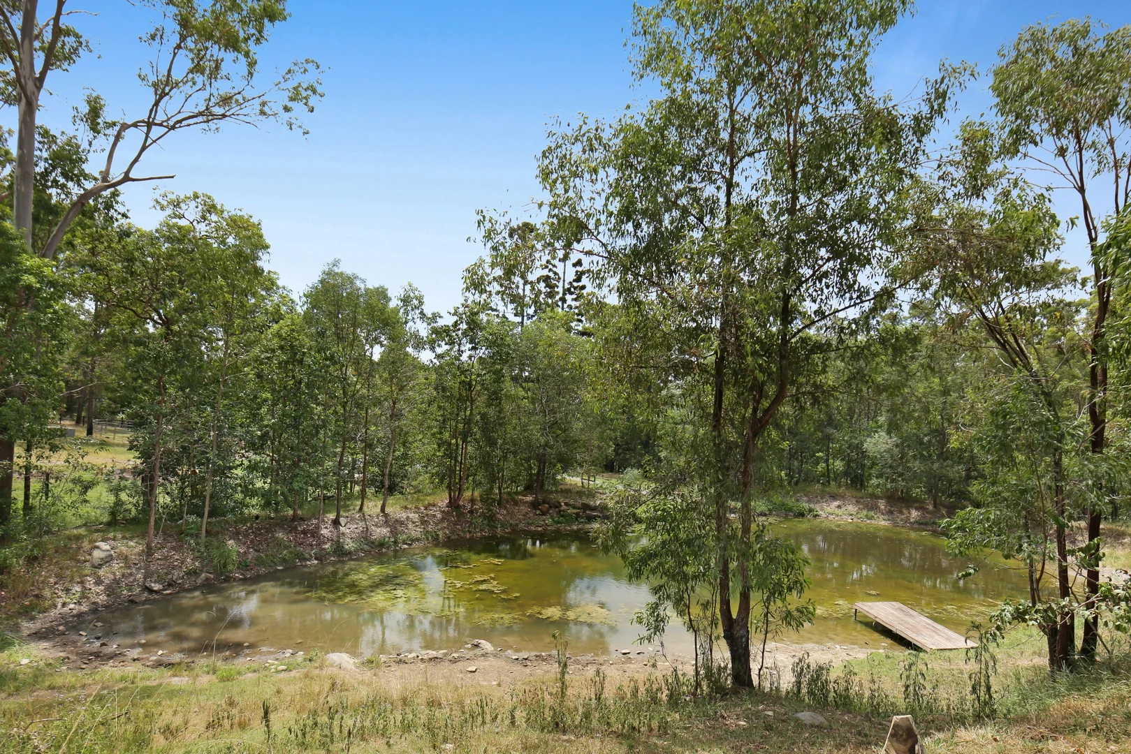 Additional image 30 of 745 Gilston Road, Gilston QLD 4211