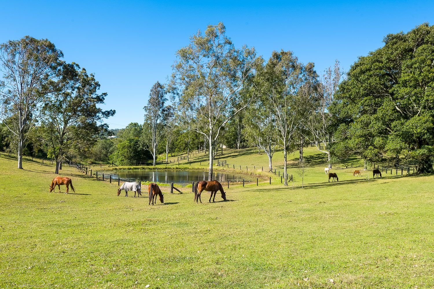 45 Old Mount Samson Road, Mount Samson QLD 4520, Image 0