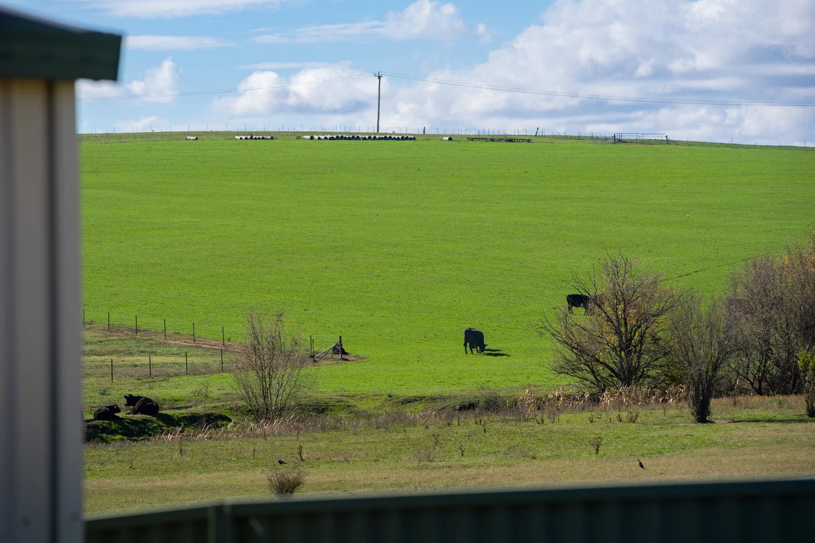 Image 17