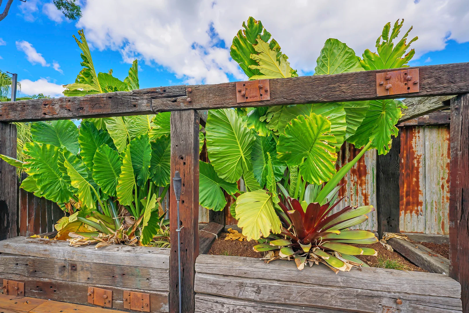 Additional image 26 of 40 California Drive, Oxenford QLD 4210