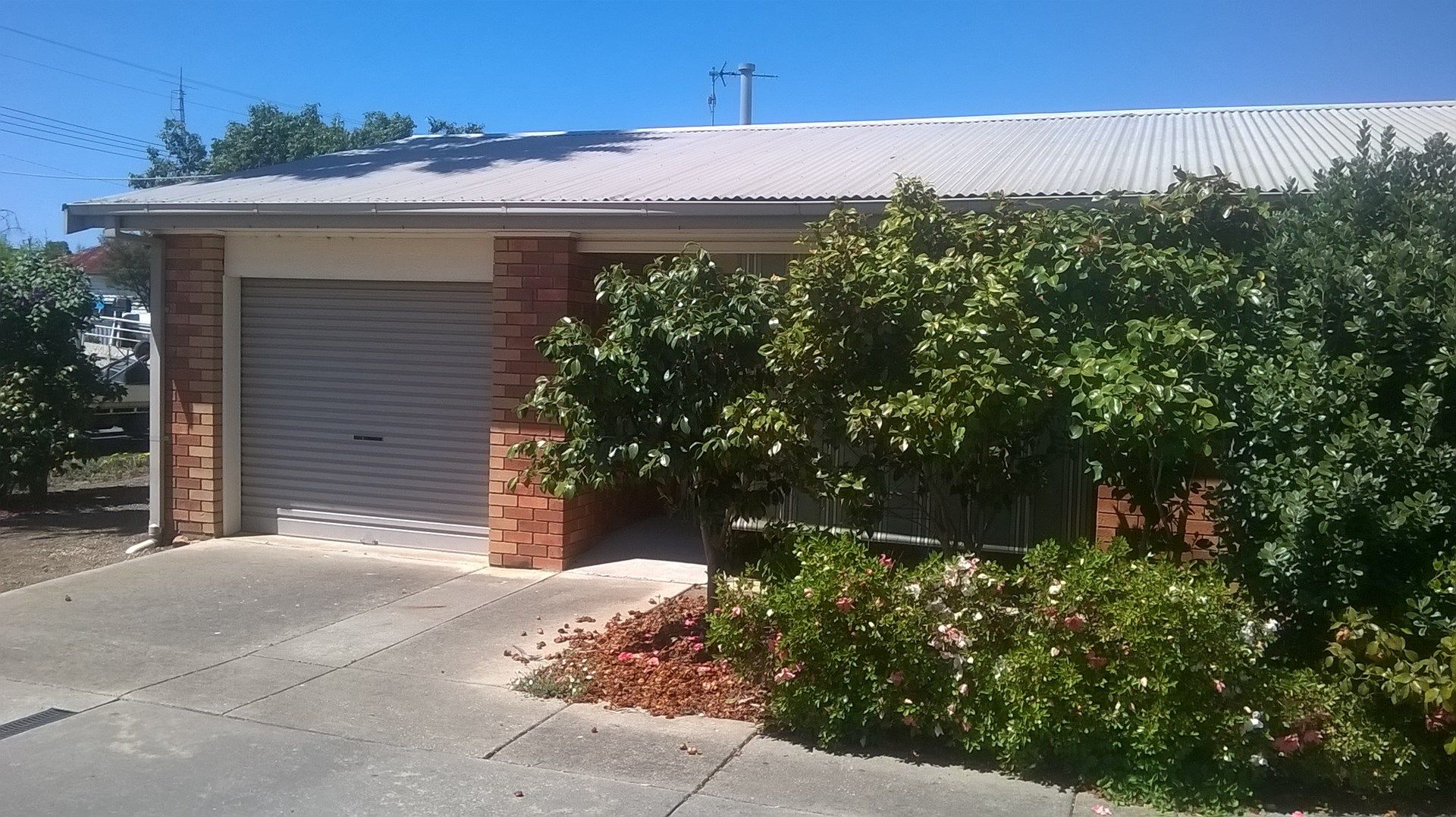 1/5 Butler Street, Seymour VIC 3660, Image 0