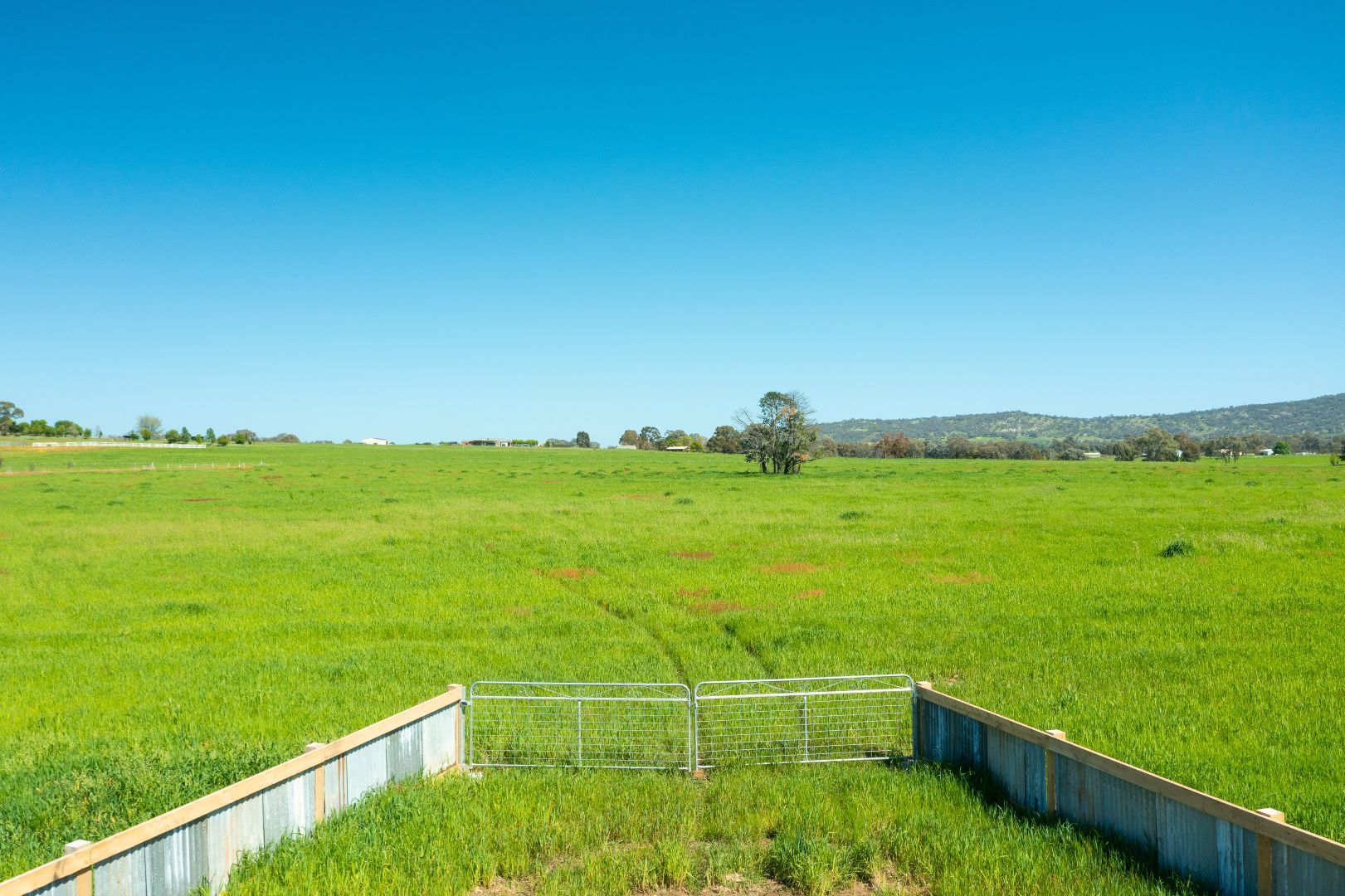 Lot 3 & 4 Gerogery Road, Gerogery NSW 2642, Image 2