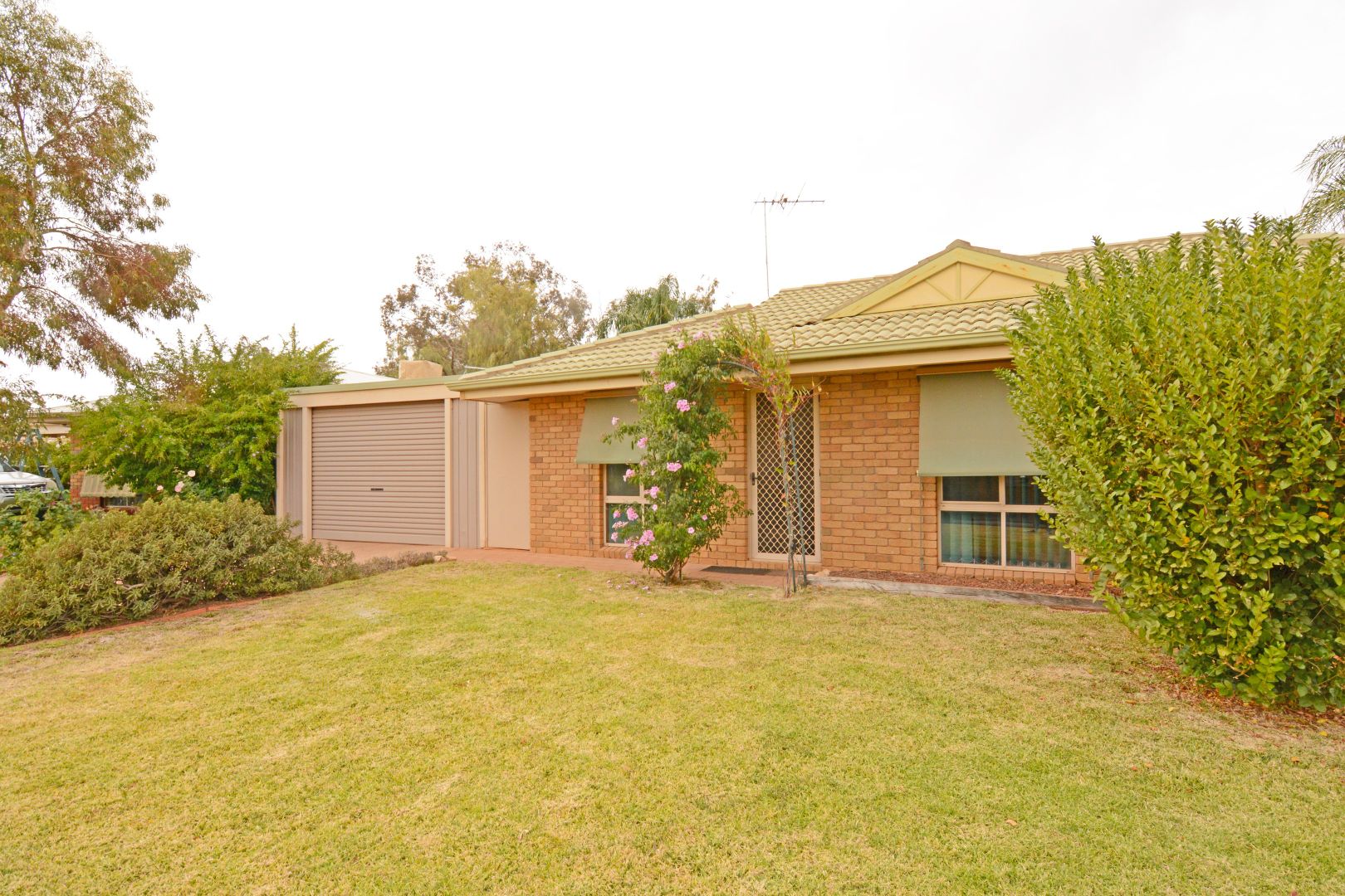 5 Heather Close, Mildura VIC 3500, Image 1