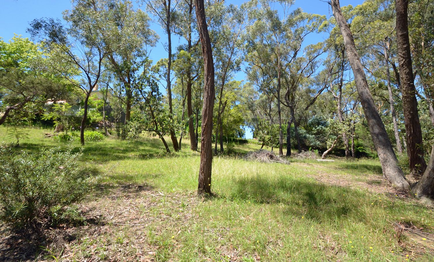 30 Forest Glen Road, Woodford NSW 2778, Image 0