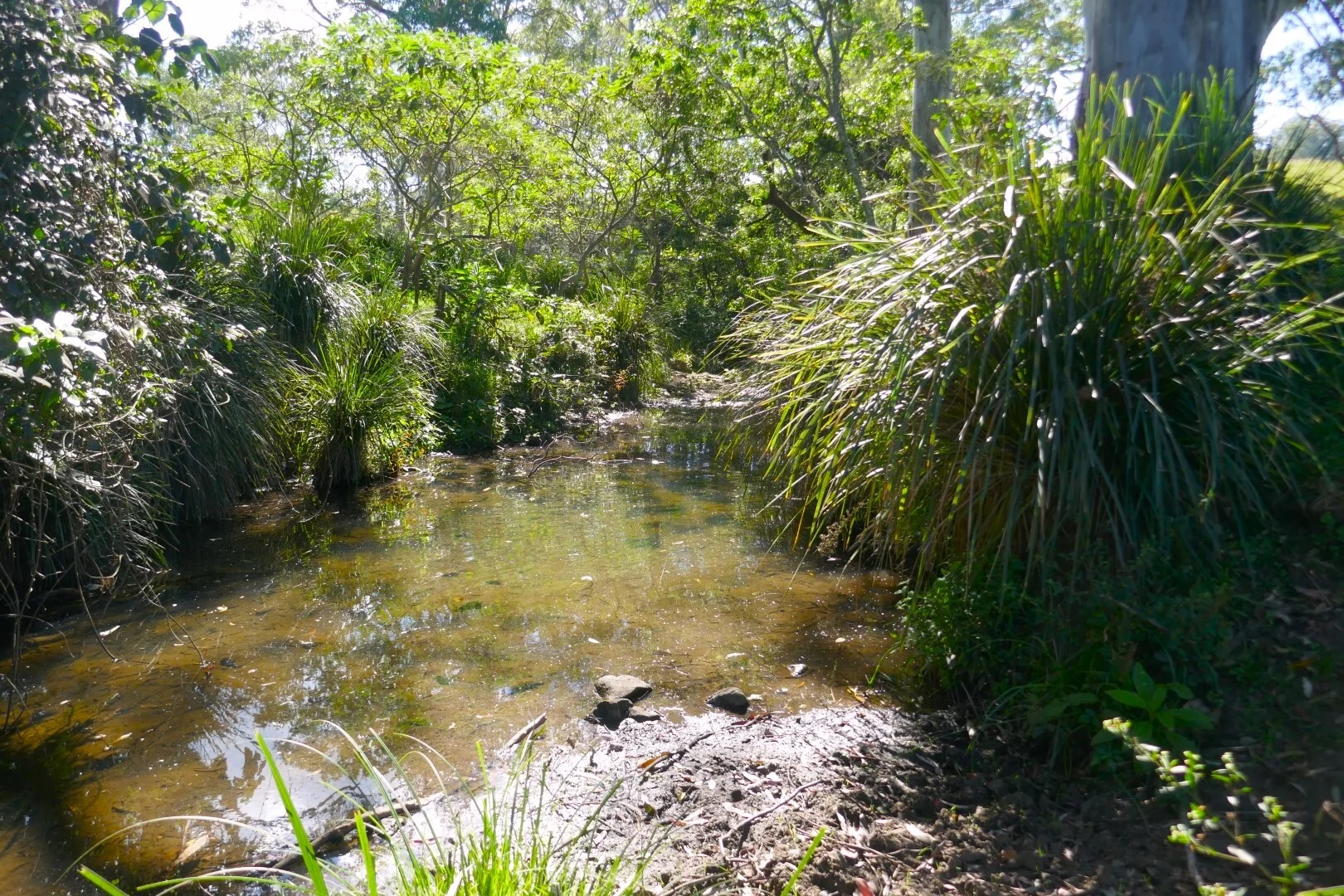 Image 13
