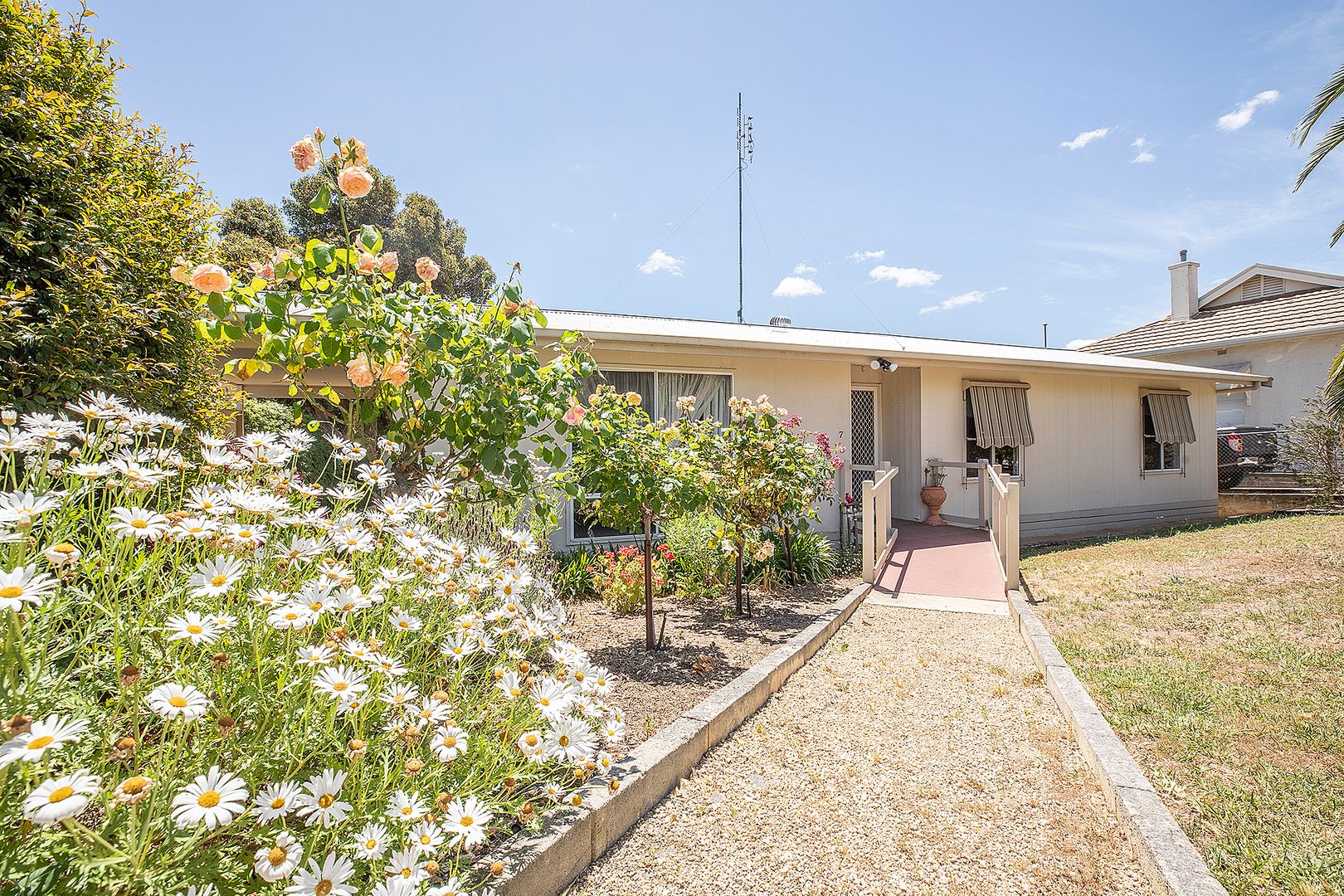 7 Porter Street, Naracoorte SA 5271, Image 1