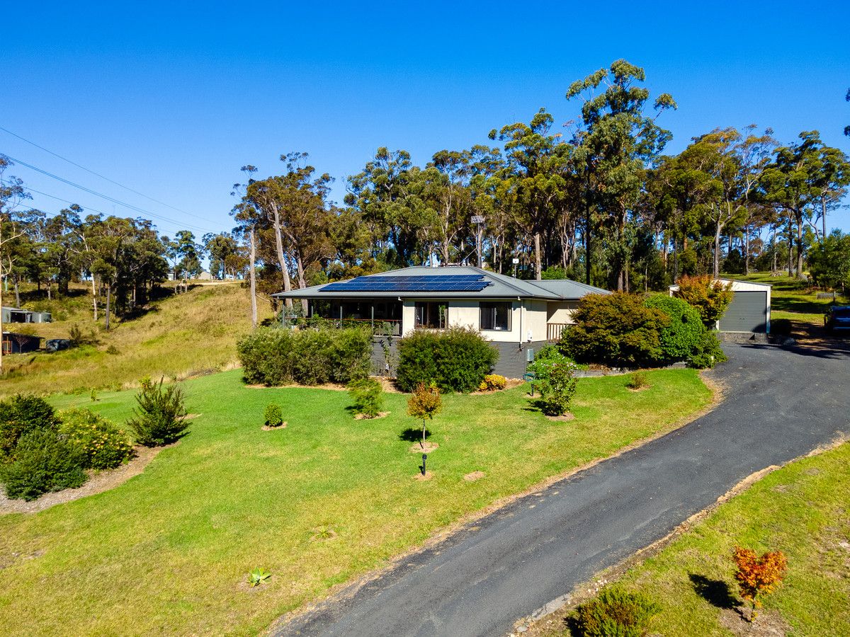 25 Yowaka River Road, Greigs Flat NSW 2549, Image 0