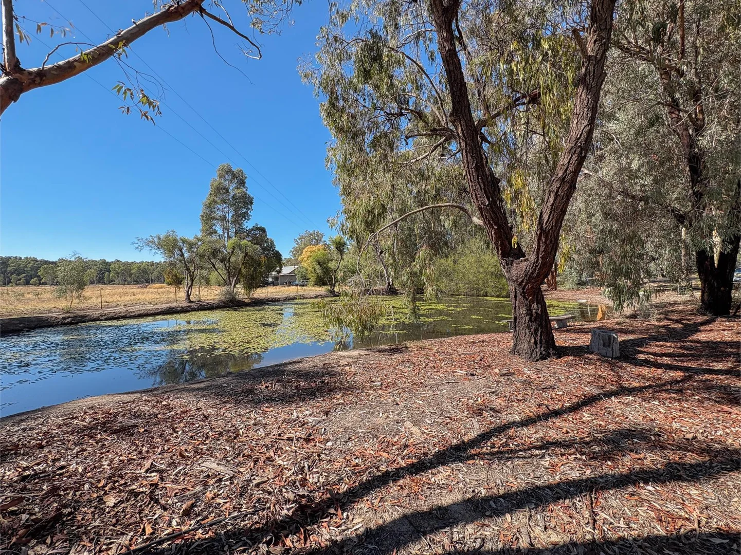 Image 12