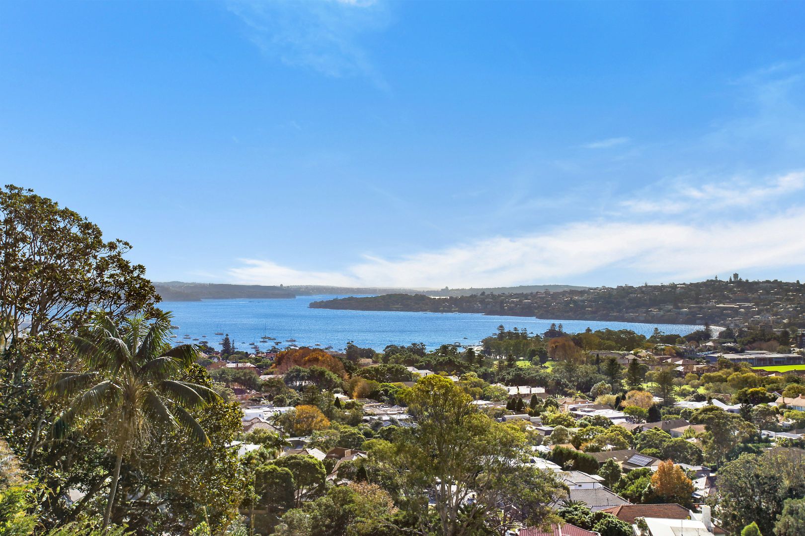 113 Victoria Road, Bellevue Hill NSW 2023, Image 2