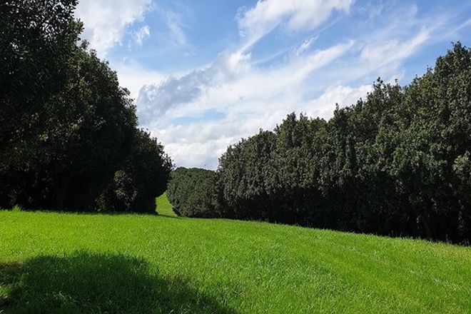 282 Real Estate Properties for Sale in Alstonville, NSW ...