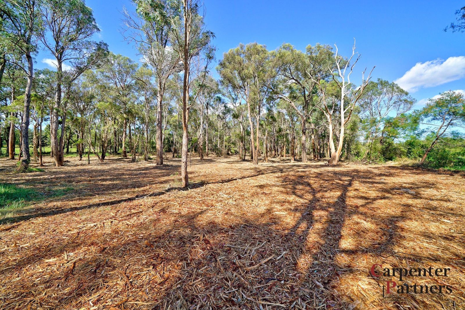 3596 Remembrance Drive, Bargo NSW 2574, Image 2