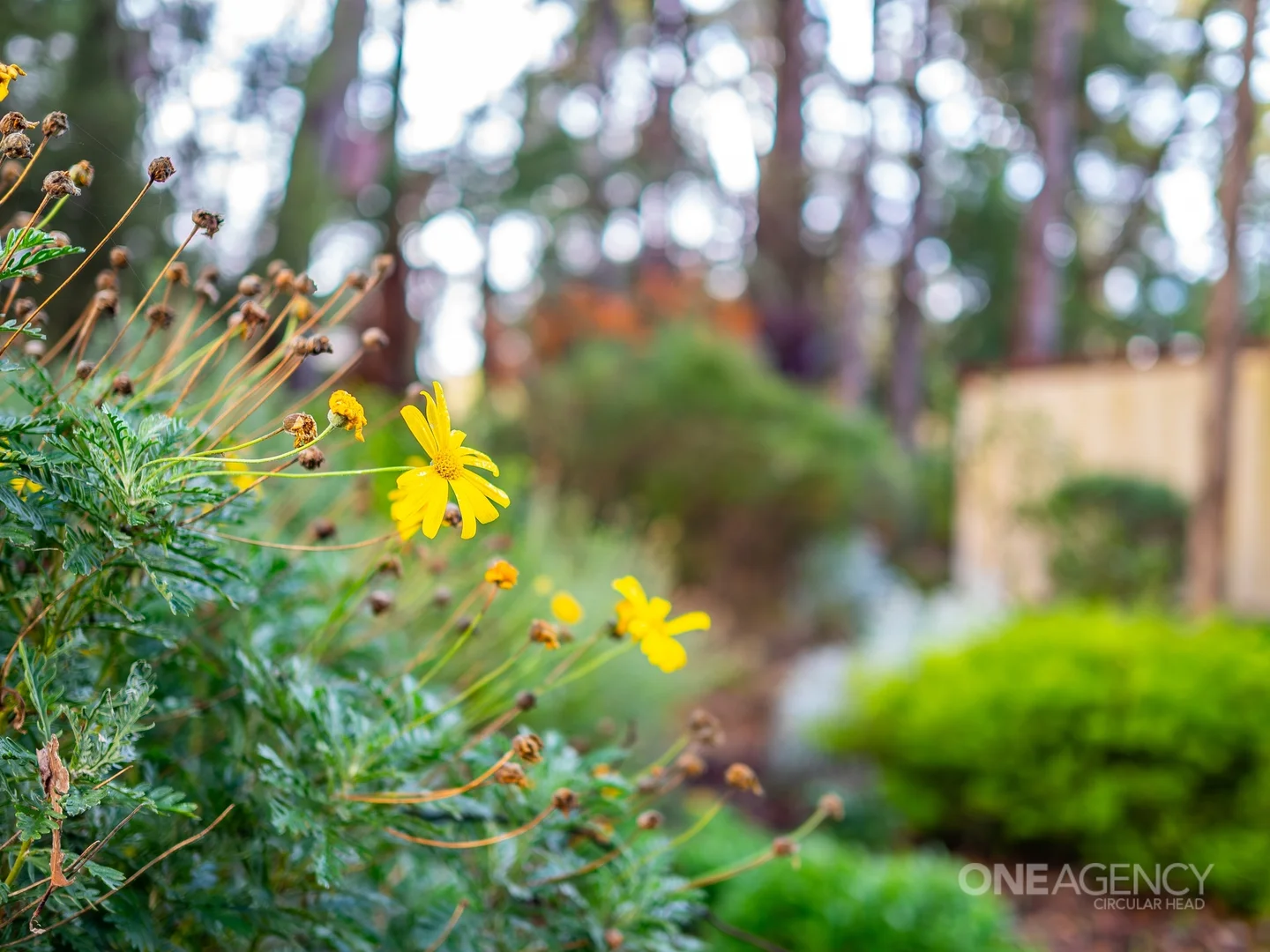 Additional image 27 of 22 Tierneys Road, Mengha TAS 7330