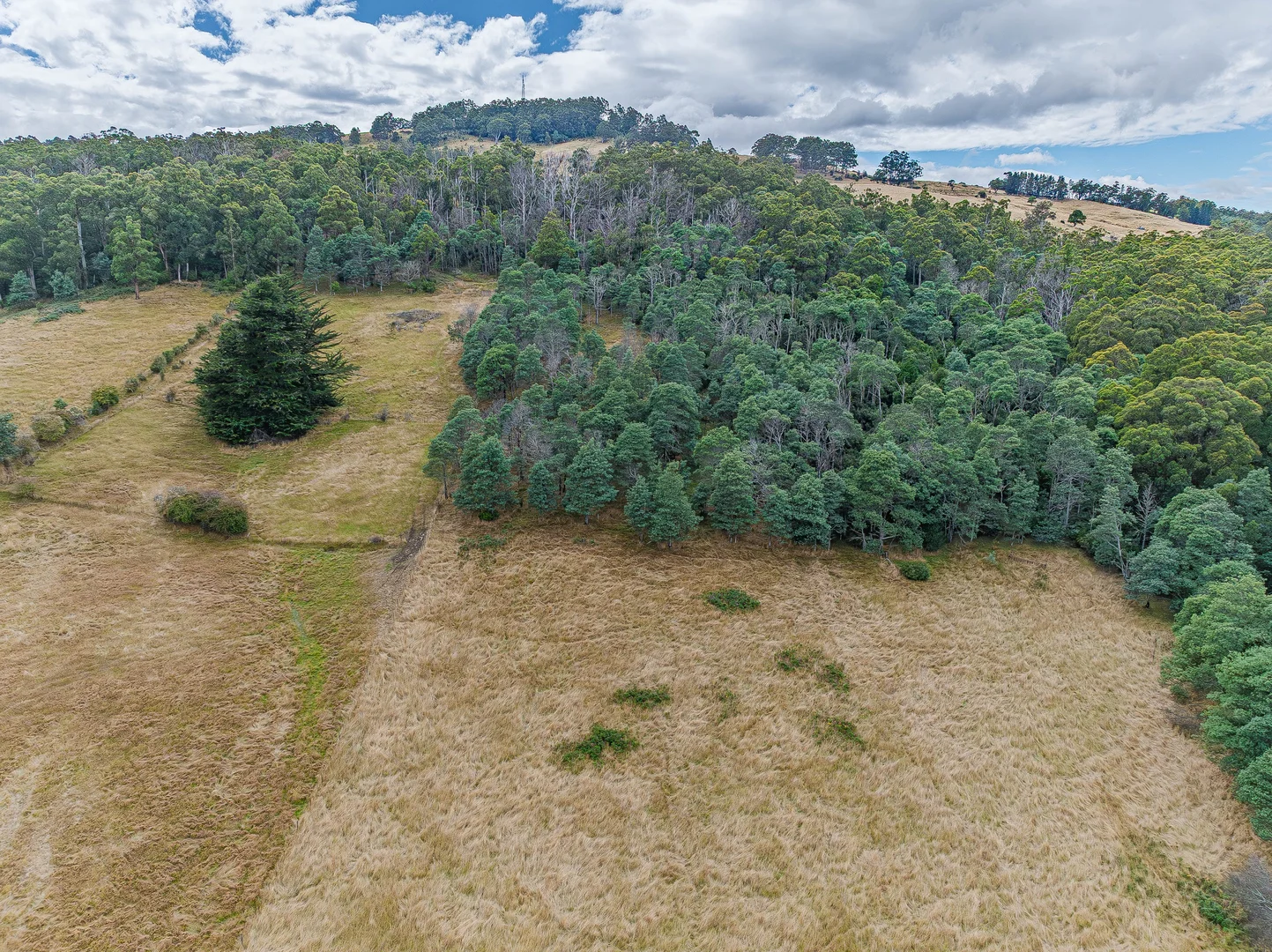 Additional image 20 of Geeveston TAS 7116