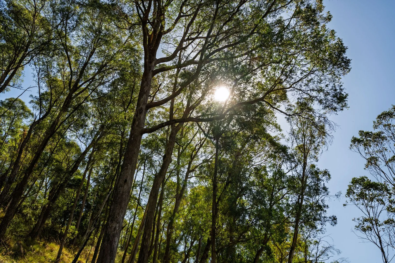 Additional image 8 of 828 Morses Creek Road, Wandiligong VIC 3744