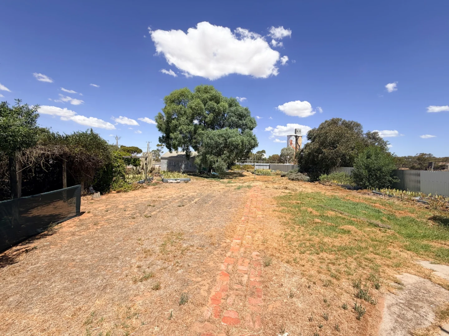 Image 25