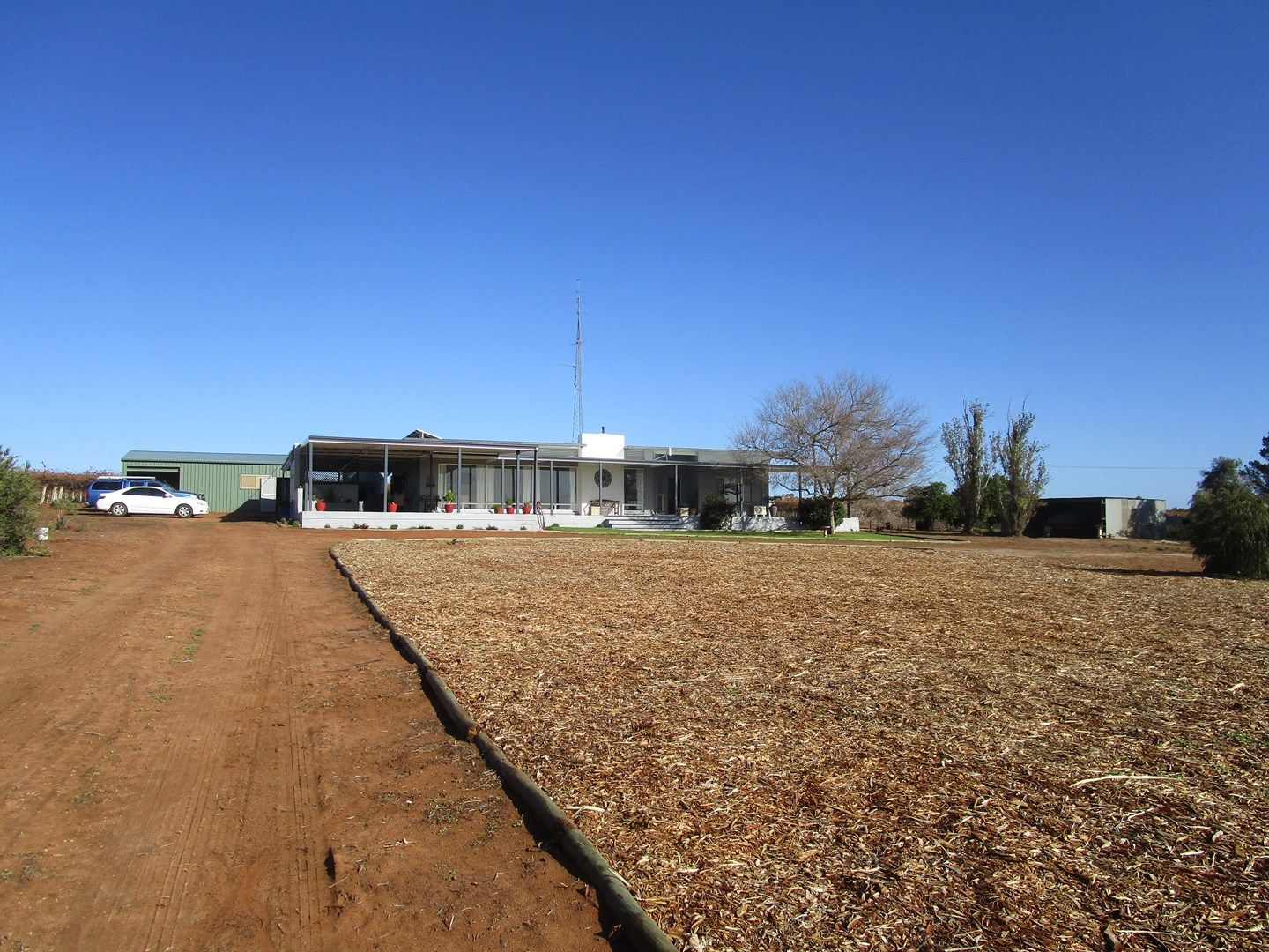 56 Costello Road, Loveday SA 5345, Image 0