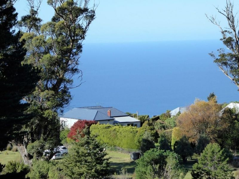 300 Mount Elephant Road, Gray TAS 7215, Image 0