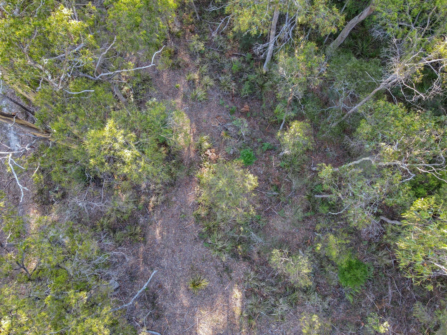 Additional image 7 of 577 Elephant Pass Road, Gray TAS 7215