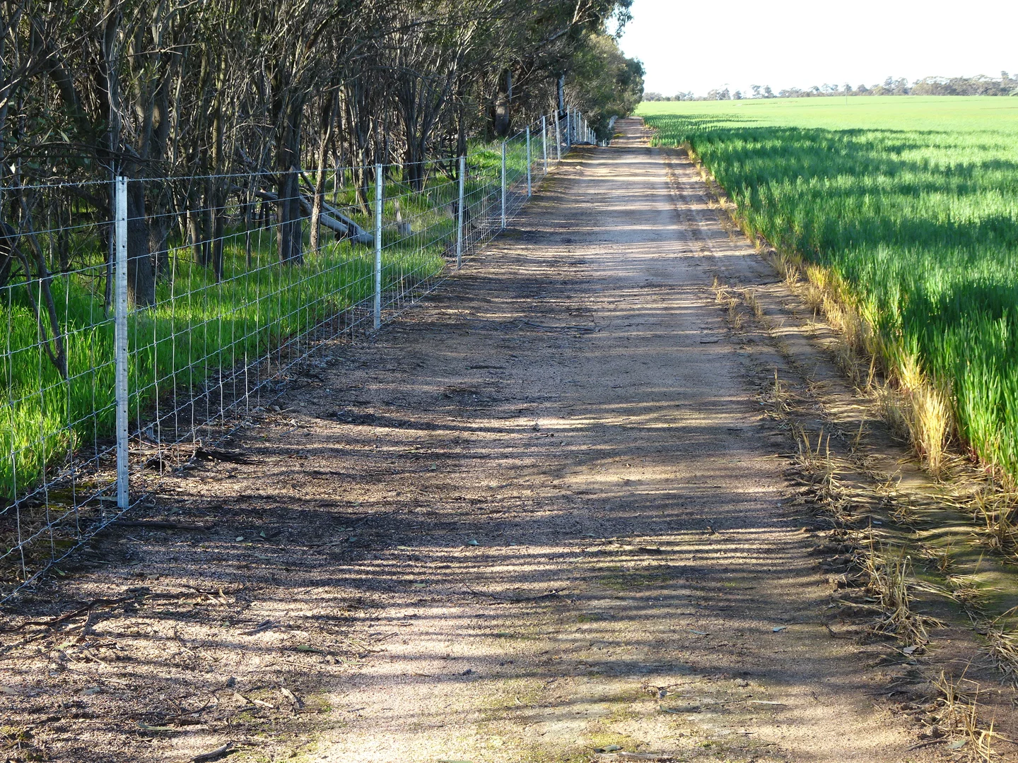 Image 16