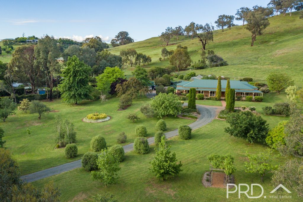 447 Lacmalac Road, Tumut NSW 2720, Image 1