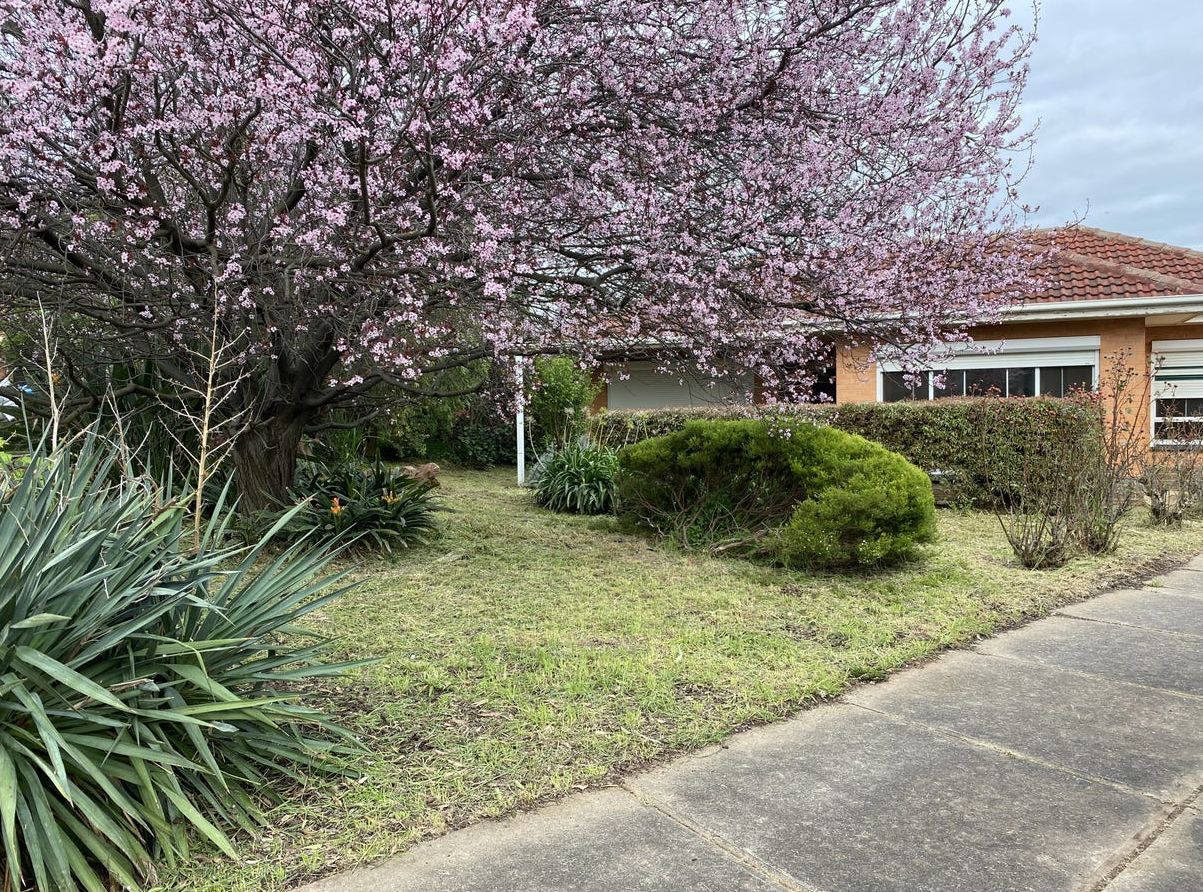 3 bedrooms House in 5 Meg Court MODBURY SA, 5092