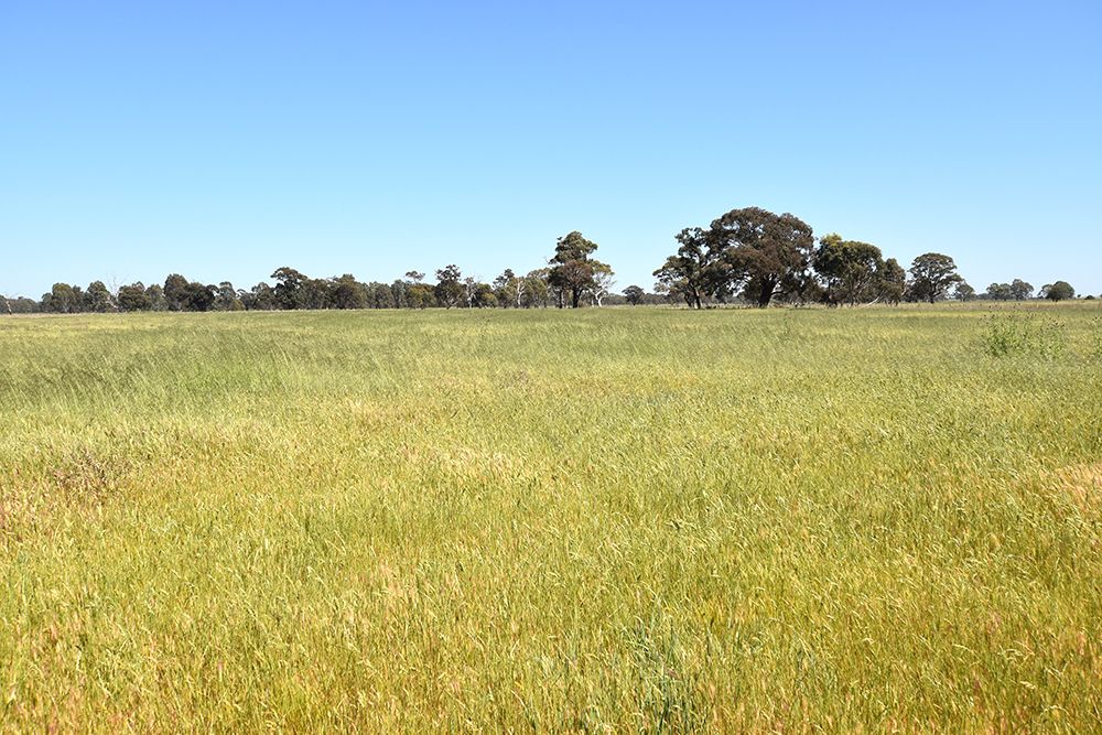 Blamey Road, Carag Carag VIC 3623, Image 1