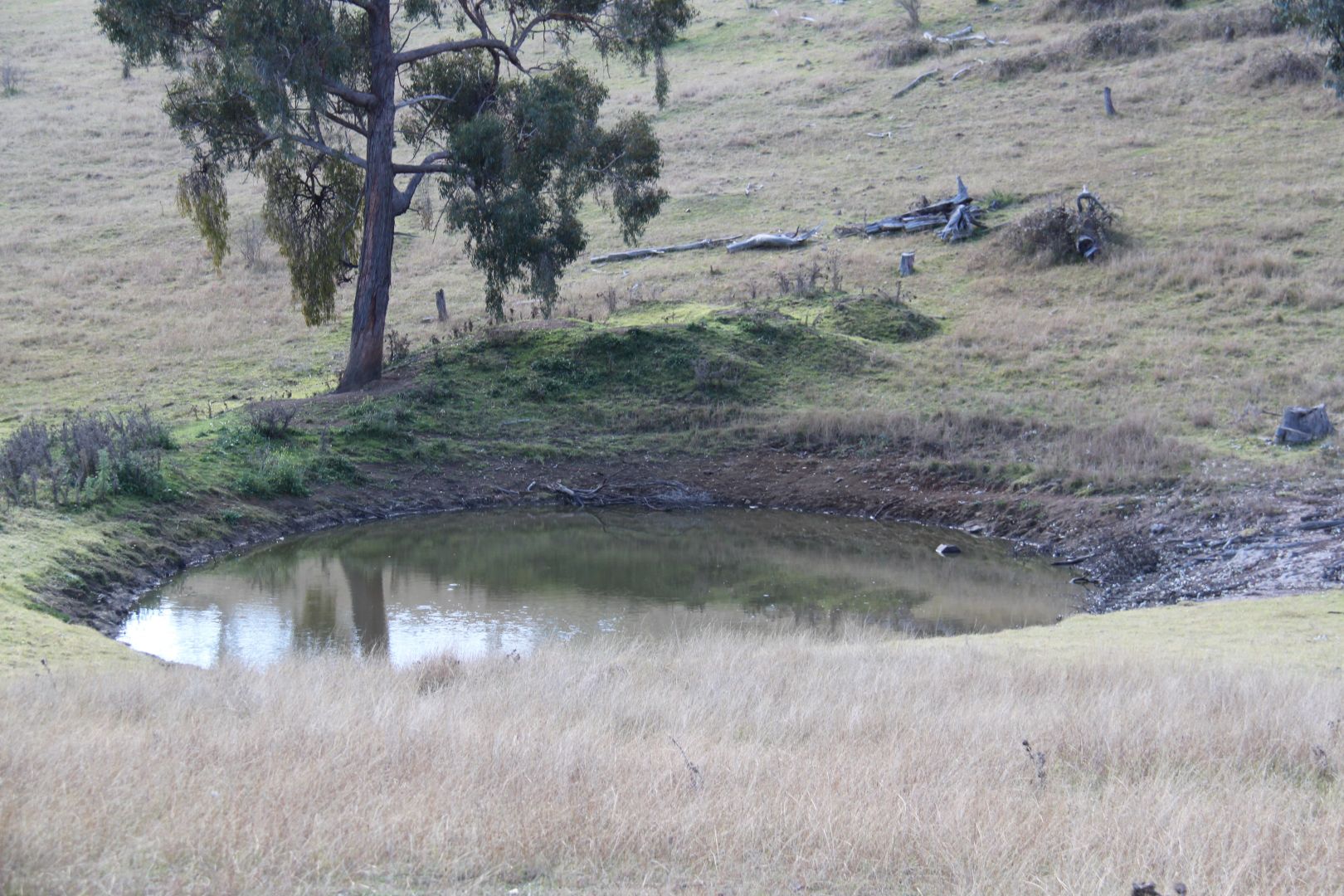 Lot 352 Splitters Gully Road, Nundle NSW 2340, Image 1