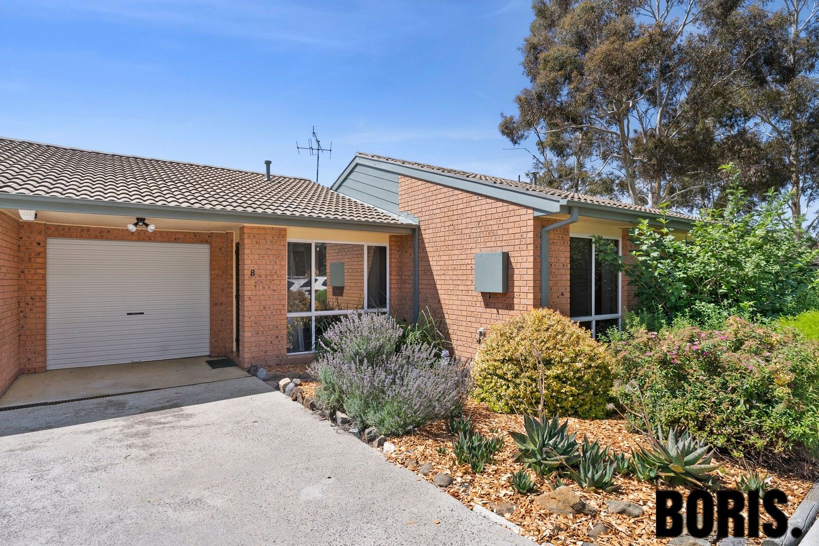 8/16 Blackett Crescent, Greenway ACT 2900, Image 0