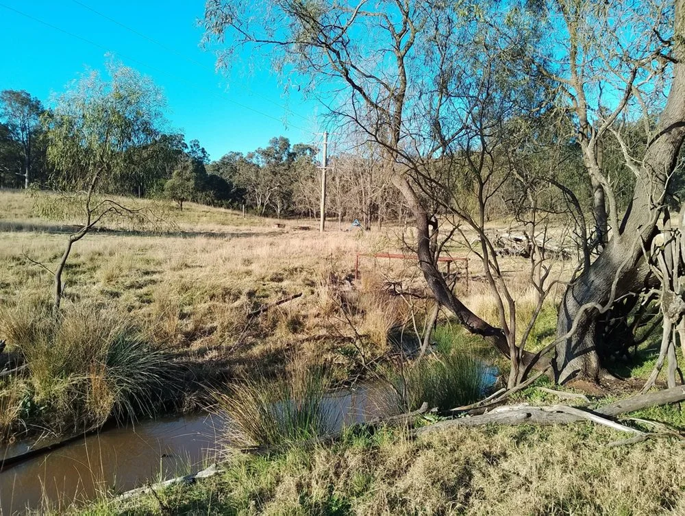 Image 12