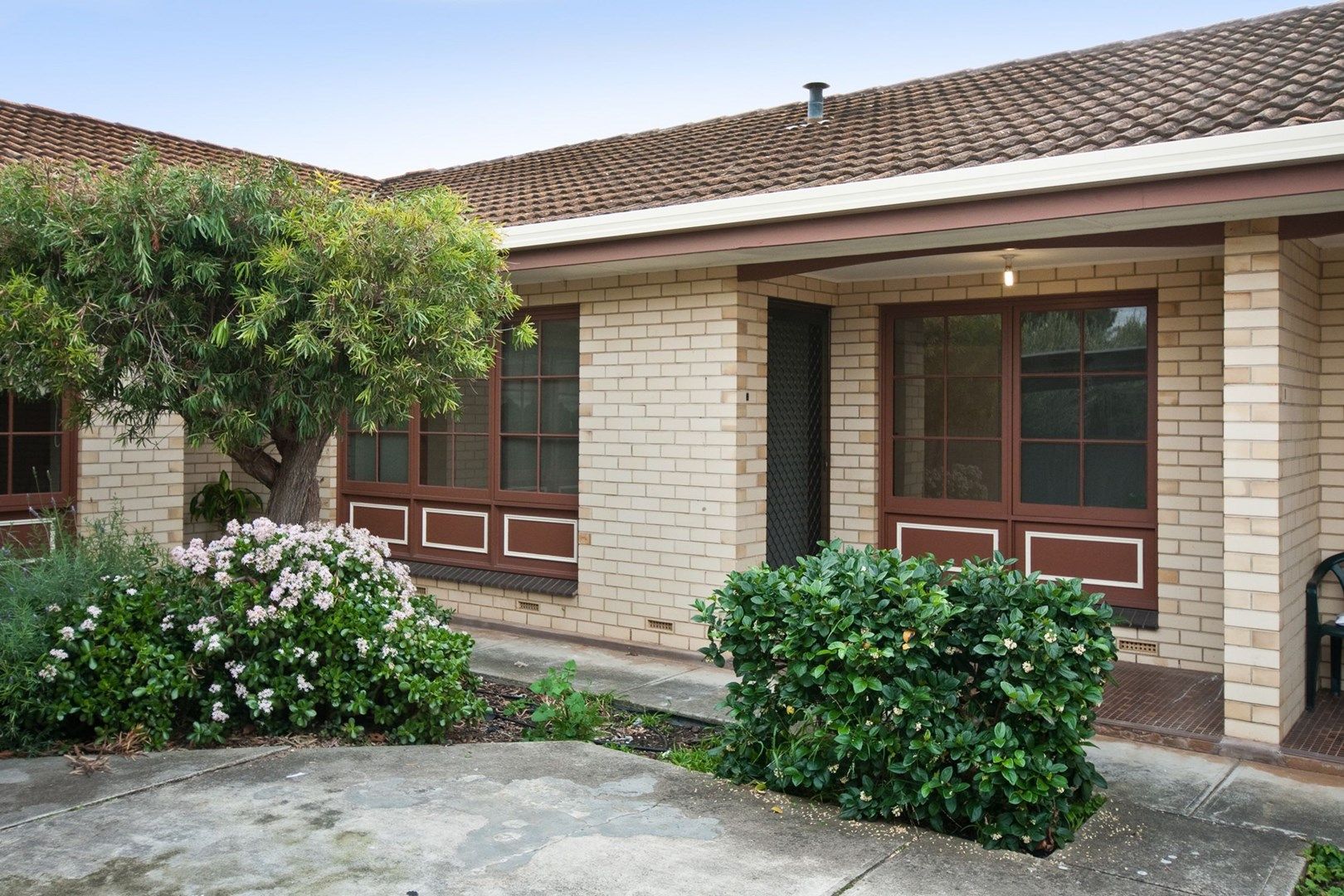 6/7 Stephens Avenue, Torrensville SA 5031, Image 0