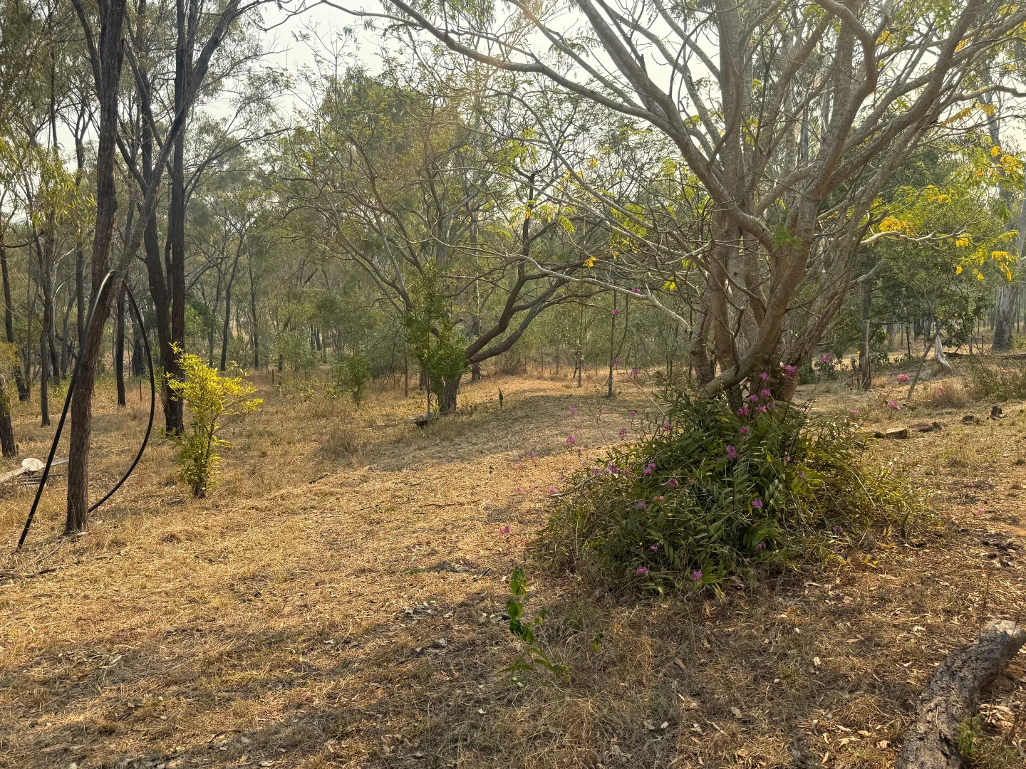 Additional image 8 of 1a Cooks Road, Hamilton Creek QLD 4714
