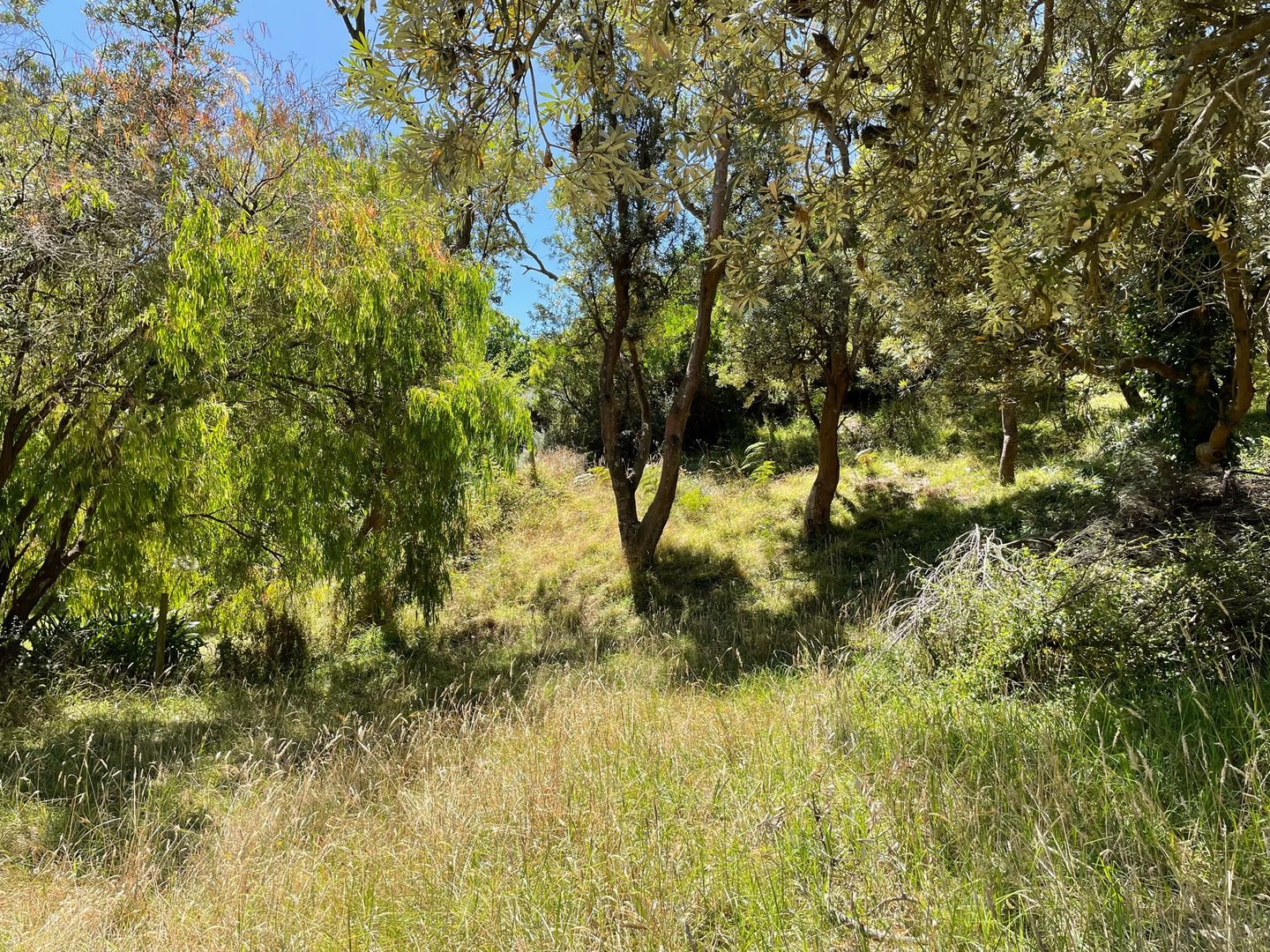 3 St Ives Crescent, Venus Bay VIC 3956 Domain