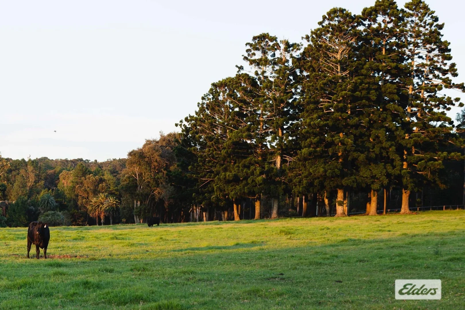 Additional image 6 of 691 Wisemans Ferry Road, Somersby NSW 2250