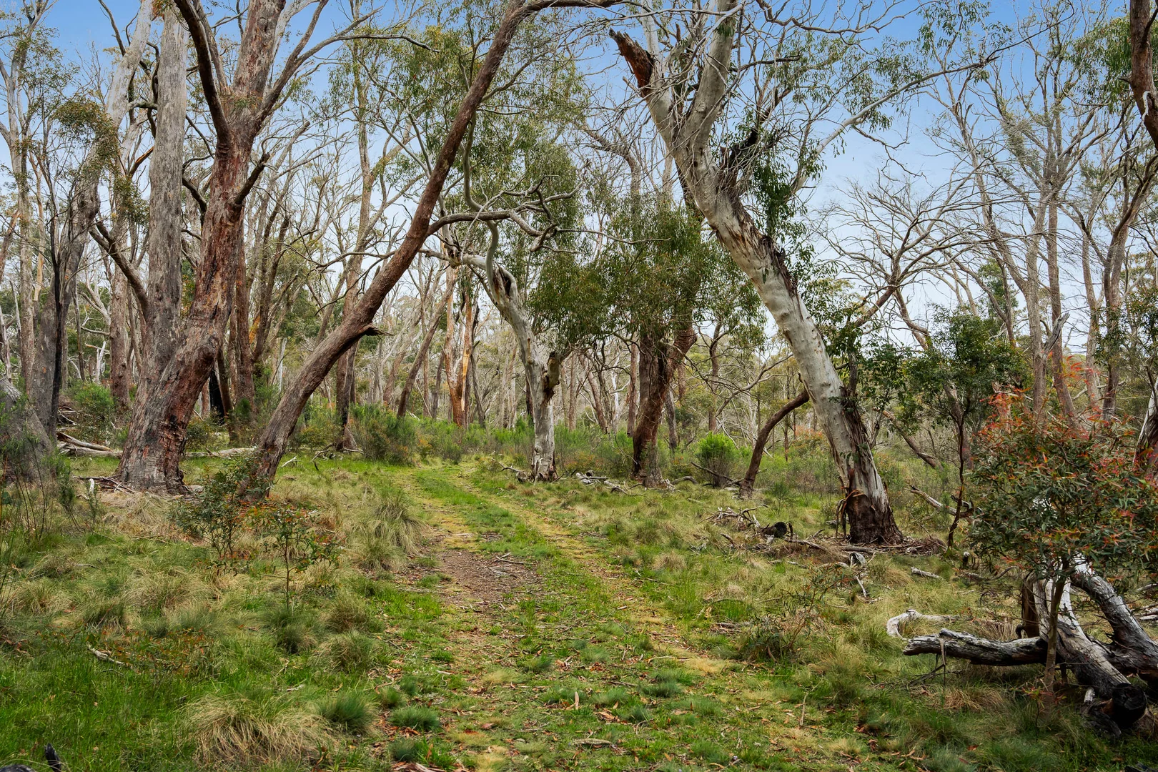 Image 6