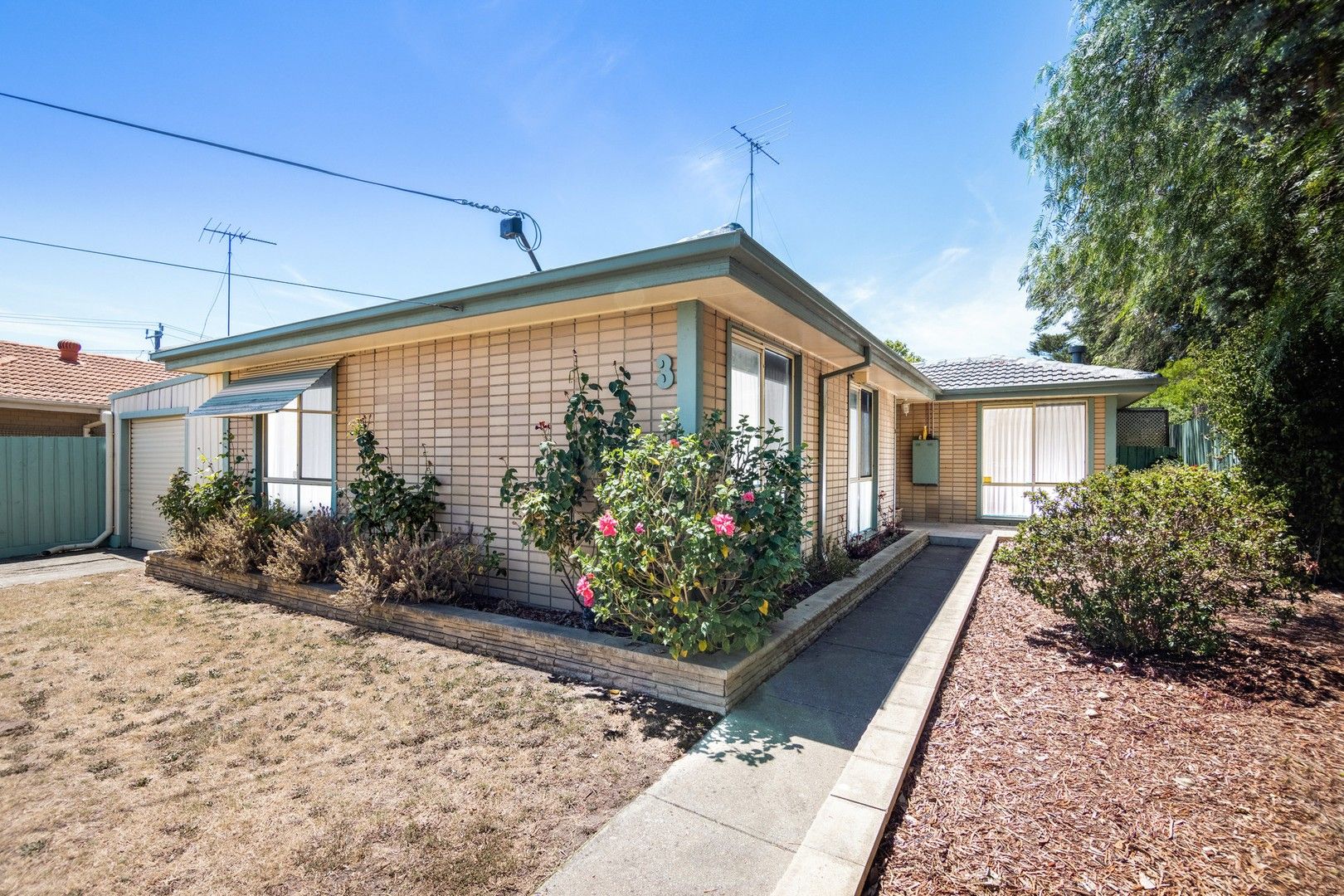 3 Tiros Court, Whittington VIC 3219, Image 0