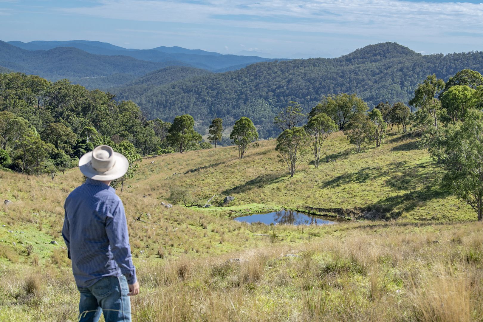 53 Snake Creek Road, Tenterfield NSW 2372, Image 1