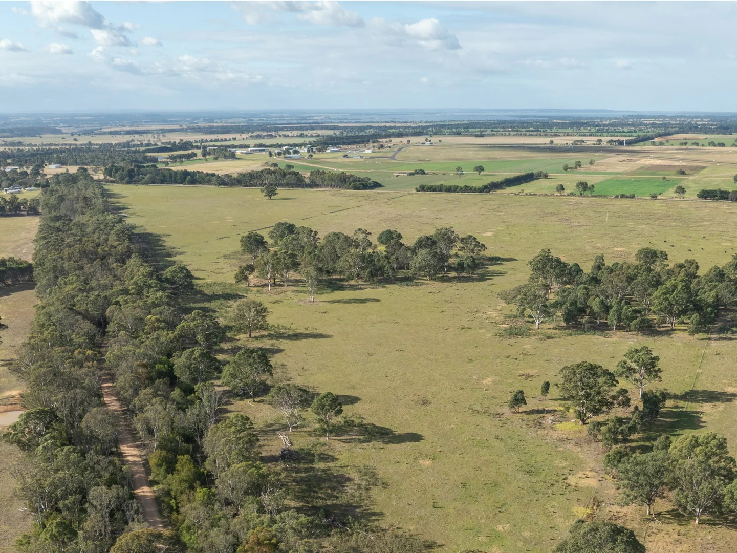 Image 13