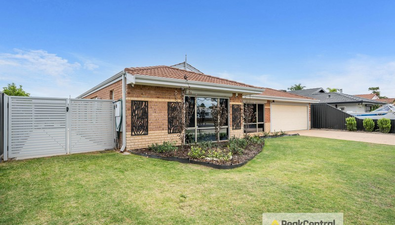 Picture of 8 Okehampton Road, WARNBRO WA 6169