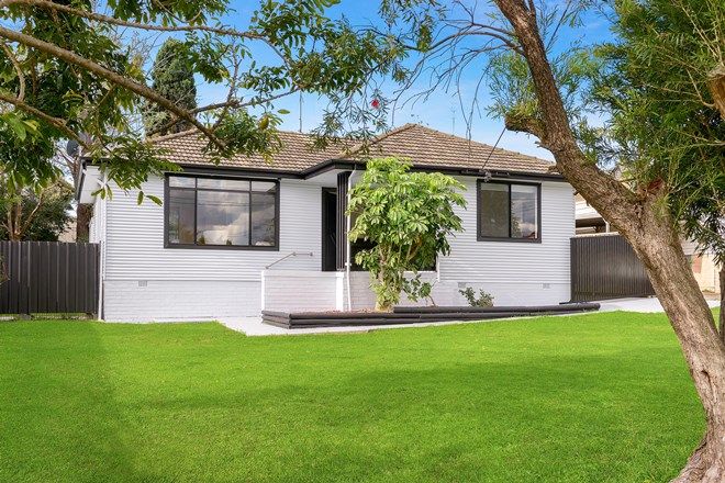 258 Real Estate Properties For Sale In Berkeley Nsw 2506 Domain