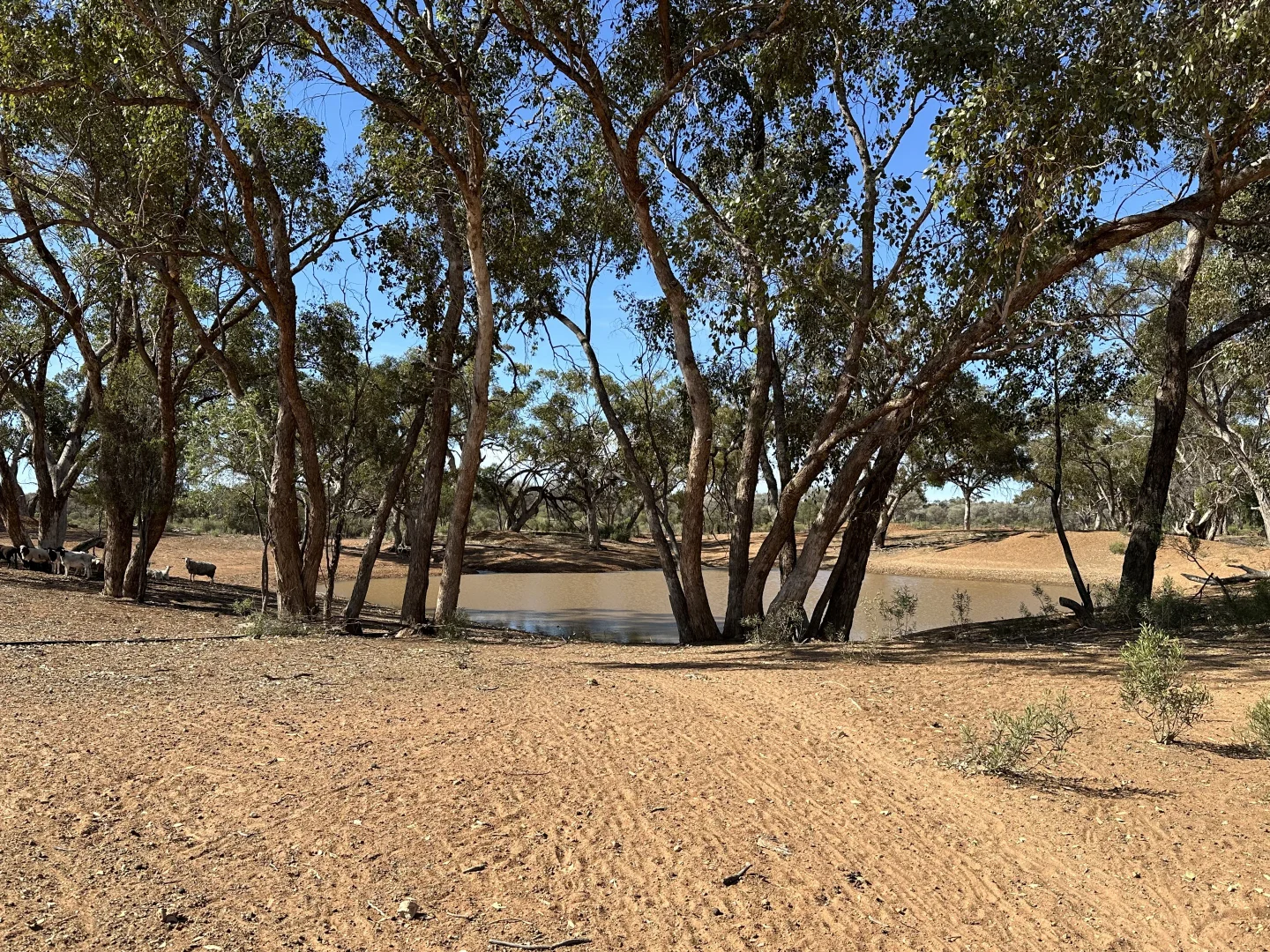 Image 15