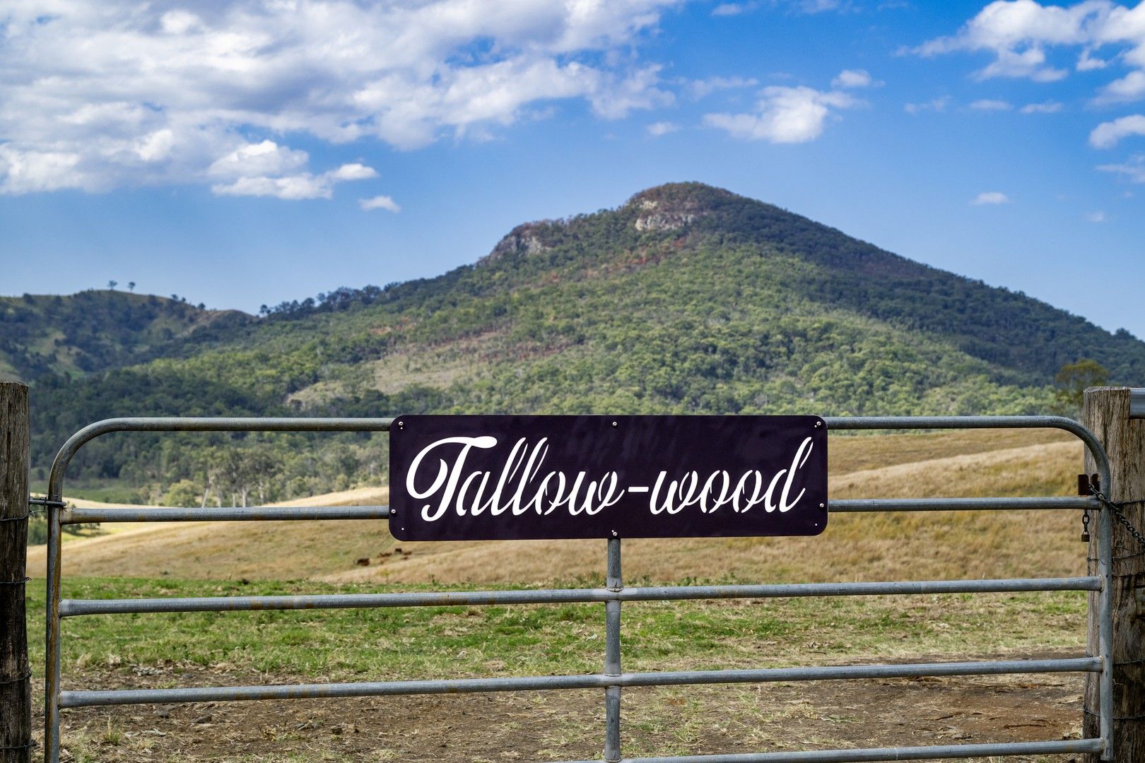 Rural in Lot 13 Cnr Cannon Creek Road & Ridge Road, MAROON QLD, 4310
