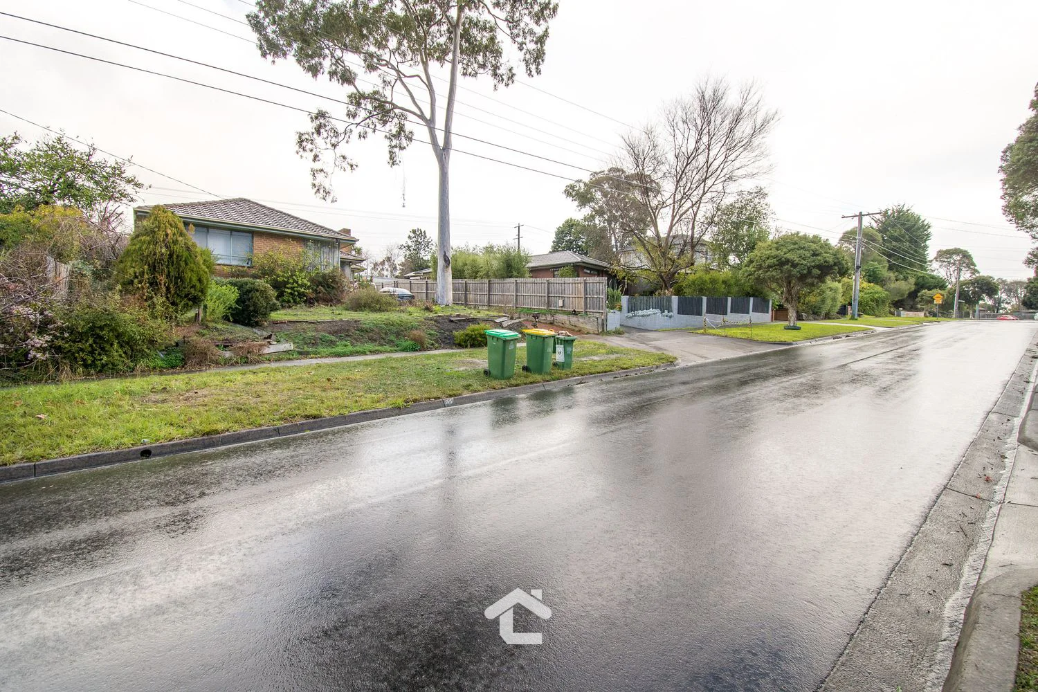 Image 15